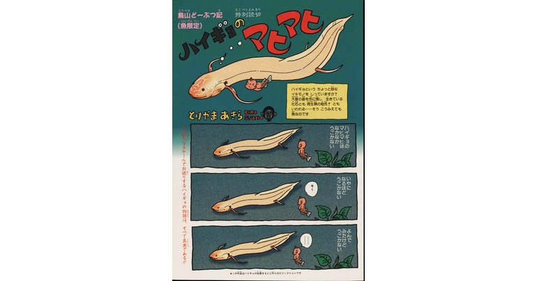 Dragon Ball-ism Toriyama Showcase # 4: ¡Mahimahi the Lungfish!
