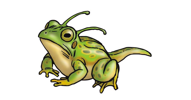 Presentación semanal de personajes ☆ #264: ¡Rana!
